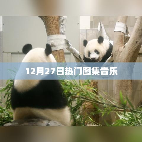 12月27日精選圖集音樂盤點(diǎn)