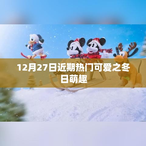冬日萌趣，12月27日熱門可愛精選