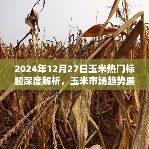 2024年玉米市場趨勢深度解析，熱門標(biāo)題展望與種植策略調(diào)整