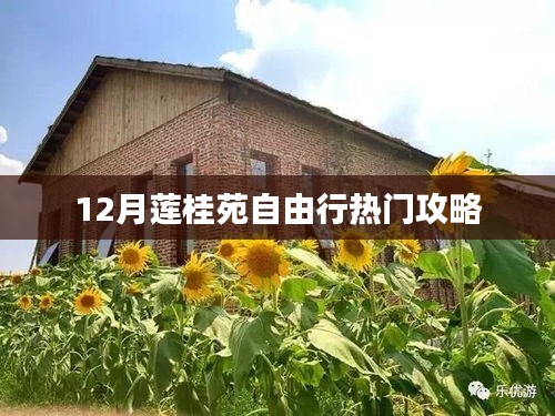 蓮桂苑十二月旅游攻略，自由行熱門攻略