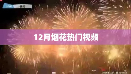 12月煙花盛宴，熱門(mén)視頻大賞
