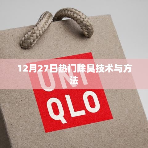 12月27日熱門除臭技術揭秘