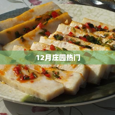 莊園十二月熱點聚焦