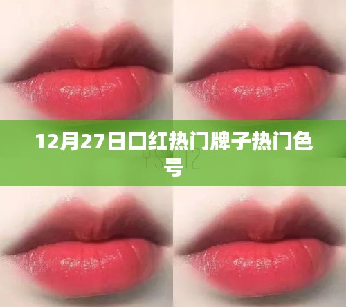 烏鳥(niǎo)之情 第3頁(yè)
