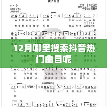 抖音熱門曲目12月搜索指南