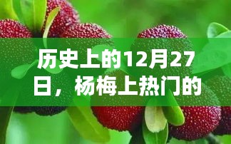 楊梅上熱門時刻，歷史上的12月27日回顧