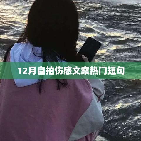 十二月傷感自拍文案短句流行