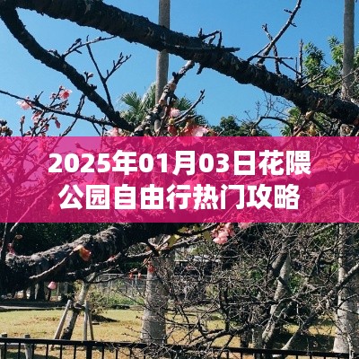 花隈公園自由行指南，熱門攻略揭秘