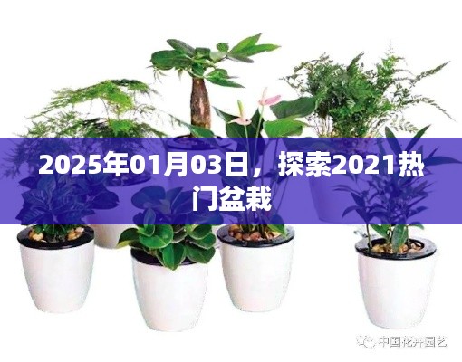 探索熱門盆栽，預測2025年盆栽流行趨勢
