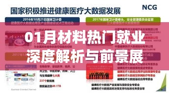 01月材料行業(yè)就業(yè)深度解析及前景展望