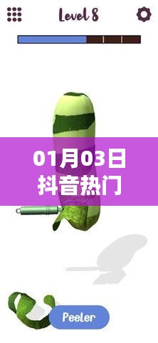 抖音熱門歌曲二手玫瑰，揭秘一月三日最炫旋律