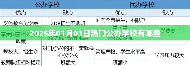 『2025年熱門公辦學(xué)校榜單揭曉』