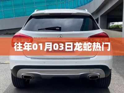 龍蛇風云再起，歷年熱點回顧