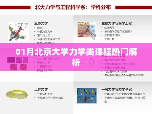 北京大學(xué)力學(xué)類課程深度解析，熱門課程揭秘