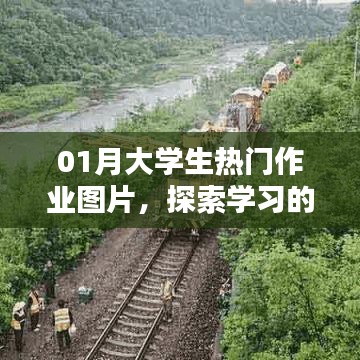 01月大學(xué)生熱門(mén)作業(yè)圖片，開(kāi)啟學(xué)習(xí)新視界探索