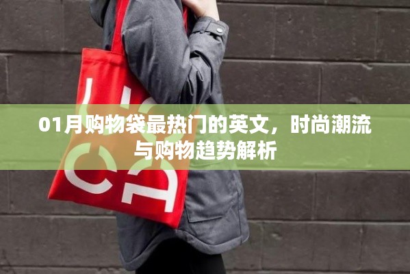購(gòu)物袋新潮流，時(shí)尚趨勢(shì)與購(gòu)物趨勢(shì)解析
