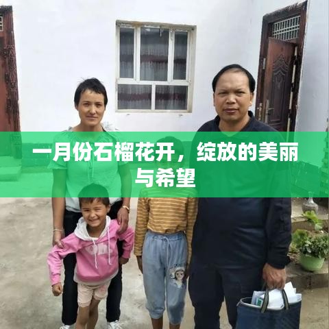 一月份石榴花開，希望與美麗的綻放
