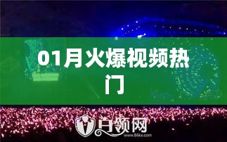 01月火爆視頻熱門盤點