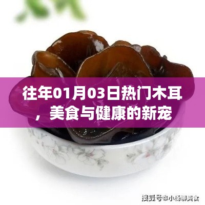 飛禽走獸 第2頁