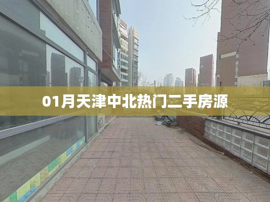 天津中北最新熱門房源推薦