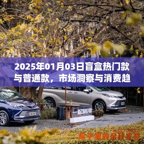 盲盒市場(chǎng)洞察，熱門(mén)款與普通款的消費(fèi)趨勢(shì)分析（2025年）