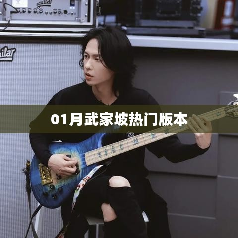 武家坡熱門版本一覽（精選推薦）