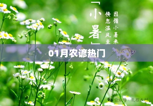 農(nóng)歷一月農(nóng)諺俗語(yǔ)大熱解讀