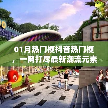 抖音熱門梗大揭秘，最新潮流一網(wǎng)打盡