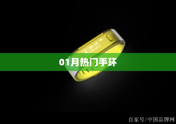 熱門手環(huán)大盤點(diǎn)，精選一月好貨