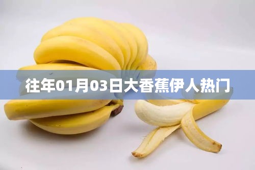 大香蕉伊人，歷年熱門回顧