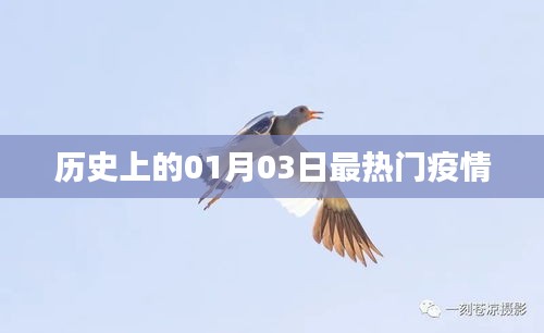 疫情熱點(diǎn)回顧，歷史上的重要時(shí)刻——一月三日
