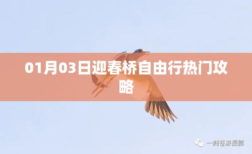 迎春橋自由行熱門攻略（日期，01月03日）
