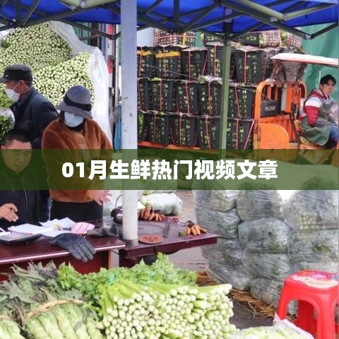 生鮮熱門視頻盤點，一月精選文章
