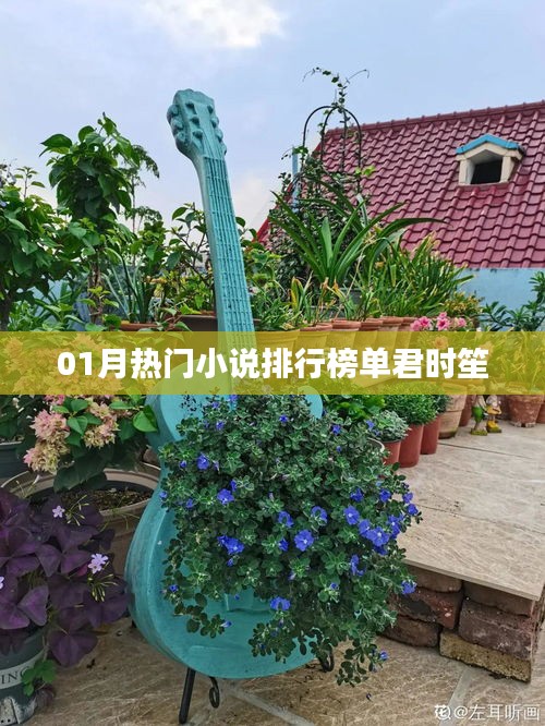 熱門小說排行榜，君時(shí)笙獨(dú)占鰲頭