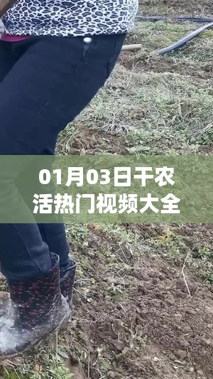 最新熱門農(nóng)活視頻合集，01月03日全收錄！