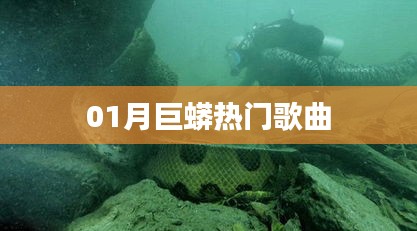 巨蟒熱門歌曲榜單來襲，不容錯(cuò)過！