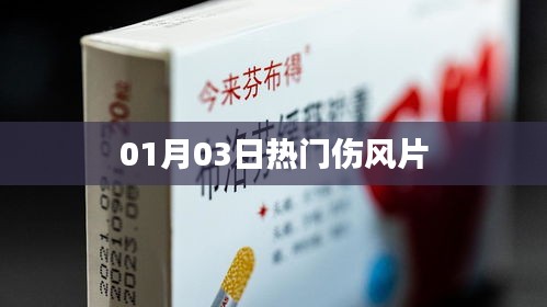 最新熱門傷風片資訊，01月03日全面解讀