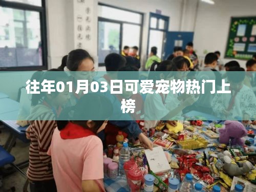 可愛寵物上榜趨勢盤點