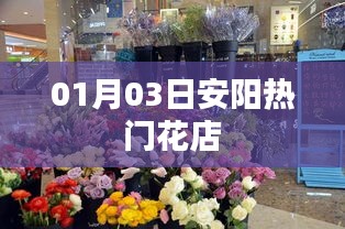 安陽熱門花店一覽，精選推薦（日期，01月03日）