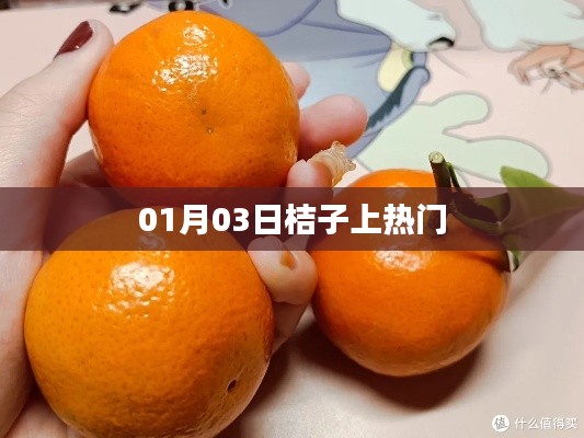桔子上熱門，日期揭秘！