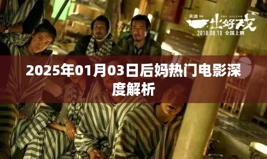 后媽電影系列深度解析，劇情、角色與影響（2025年）