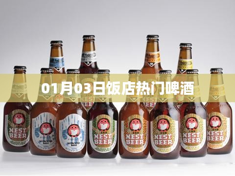 熱門啤酒榜單揭曉，飯店啤酒排行（最新日期）
