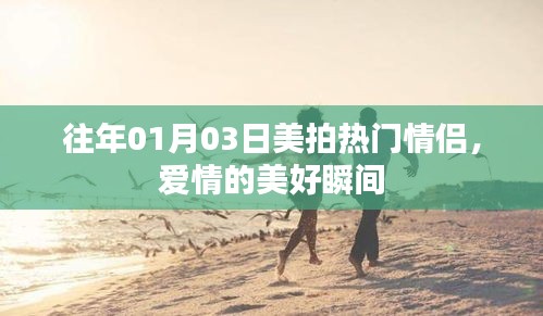 炊粱跨衛(wèi) 第2頁