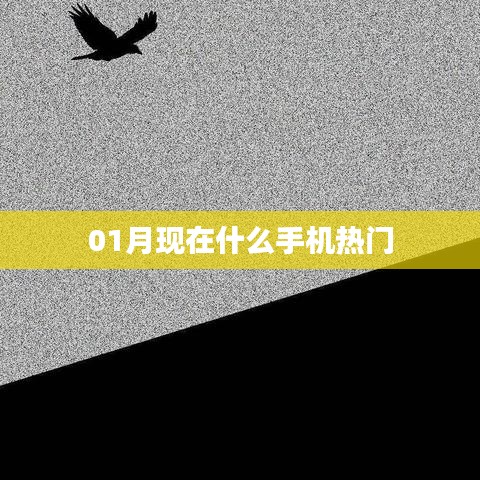 雍榮閑雅 第3頁