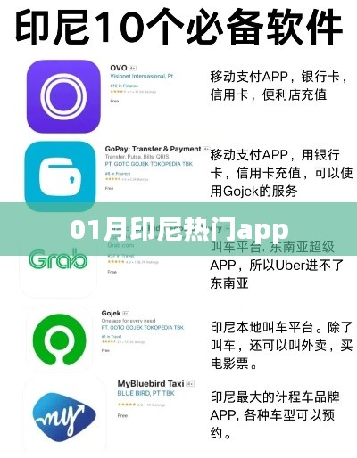 印尼一月份熱門應用榜單