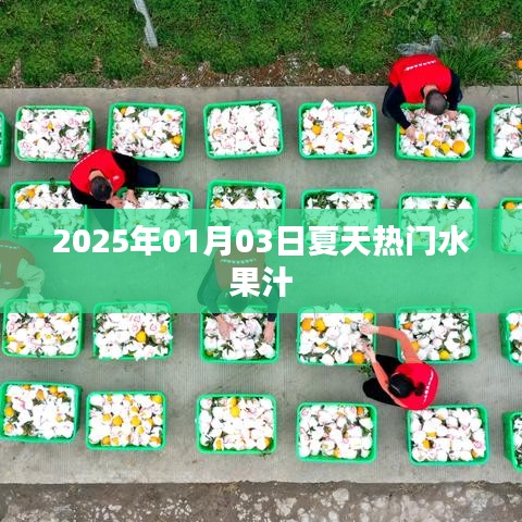 夏日水果汁流行趨勢(shì)，2025年熱門(mén)水果汁推薦