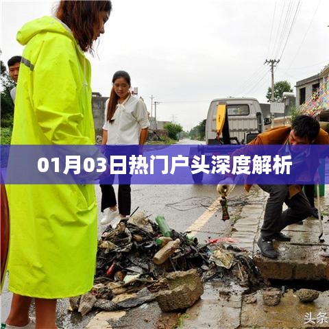 01月03日熱門戶頭深度解讀