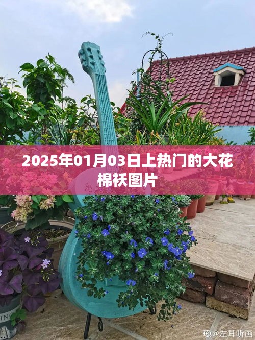 『2025年熱門大花棉襖時(shí)尚圖片欣賞』