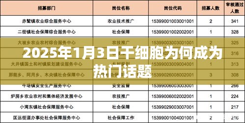 干細(xì)胞話題揭秘，為何它在未來備受矚目？