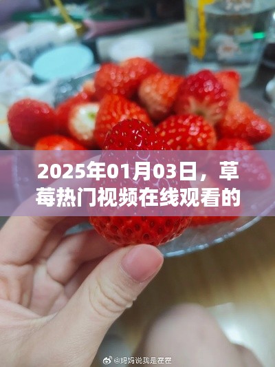 草莓盛宴，熱門視頻在線觀看，2025年不容錯過